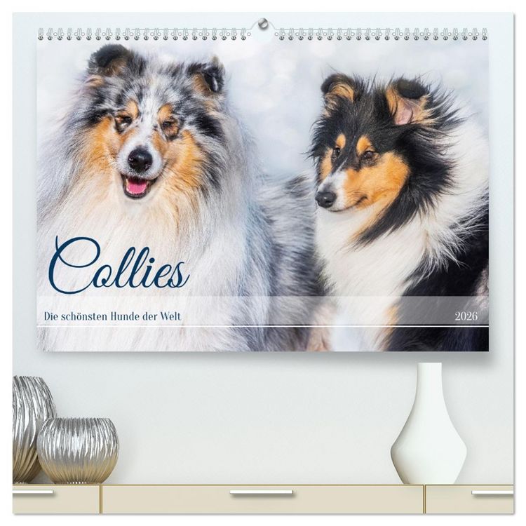 Produktbild: Collies - die sch&ouml;nsten Hunde der Welt (hochwertiger Premium Wandkalender 2026 DIN A2 quer), Kunstdruck in Hochglanz