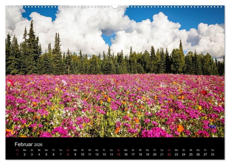 Produktbild: Alaska 2026 Wildes Land am Ende der Welt (hochwertiger Premium Wandkalender 2026 DIN A2 quer), Kunstdruck in Hochglanz