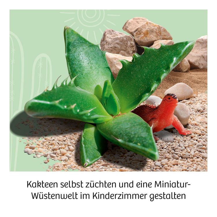 Produktbild: Kakteen-W&uuml;ste
