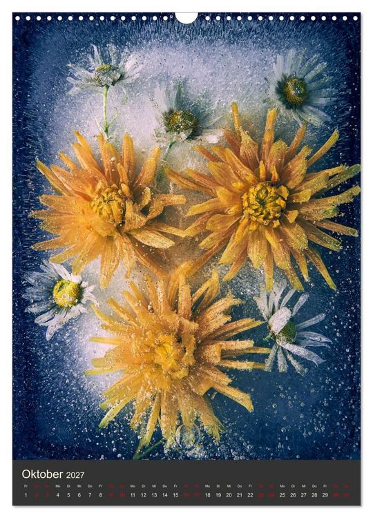 Produktbild: Magische Eisblumen (Wandkalender 2027 DIN A3 hoch), CALVENDO Monatskalender