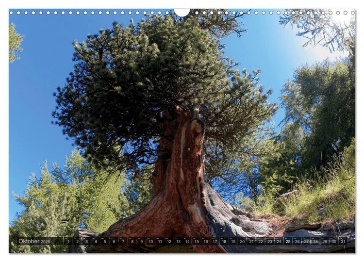 Produktbild: Alpen live - Rund um das Matterhorn (Wandkalender 2026 DIN A3 quer), CALVENDO Monatskalender