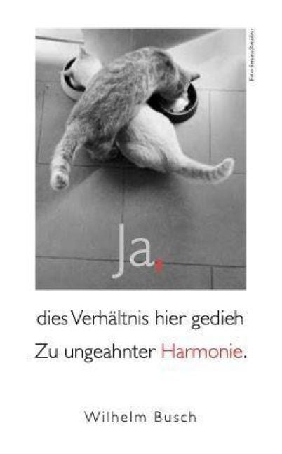 Produktbild: Katzen Taschenkalender 2027