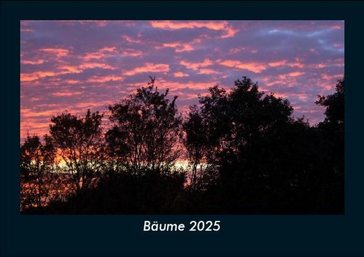 Produktbild: B&auml;ume 2025 Fotokalender DIN A5