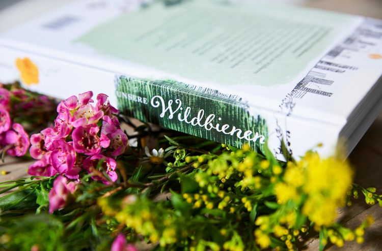 Produktbild: Unsere Wildbienen