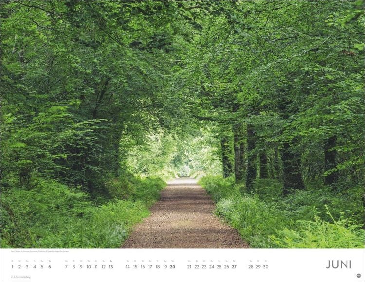 Produktbild: Sch&ouml;nheit des Waldes Posterkalender 2027