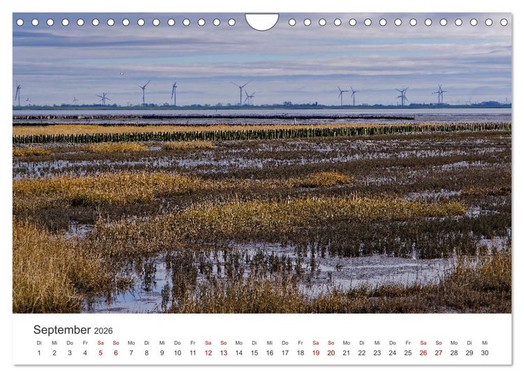 Produktbild: Schutzgebiet Wattenmeer (Wandkalender 2026 DIN A4 quer), CALVENDO Monatskalender