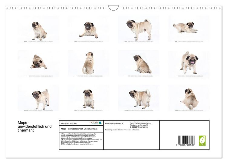 Produktbild: Mops - unwiderstehlich und charmant (Wandkalender 2026 DIN A3 quer), CALVENDO Monatskalender