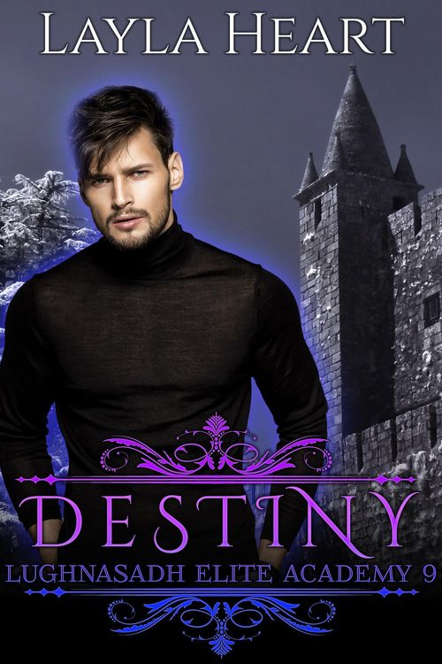 Produktbild: Destiny
