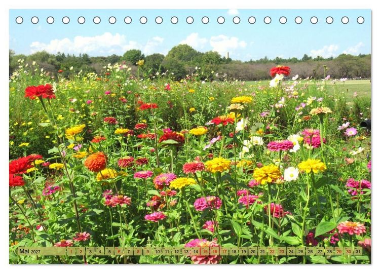 Produktbild: Die Natur Japans (Tischkalender 2027 DIN A5 quer), CALVENDO Monatskalender