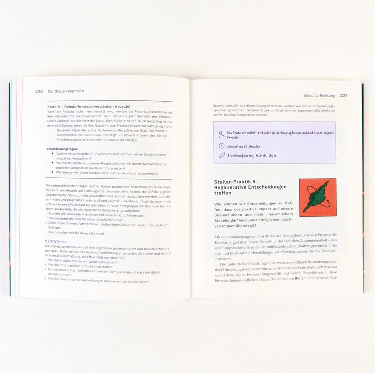 Produktbild: Der Stellar-Approach