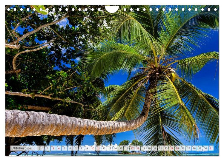 Produktbild: Die Seychellen - ganz nah am Paradies (Wandkalender 2026 DIN A4 quer), CALVENDO Monatskalender