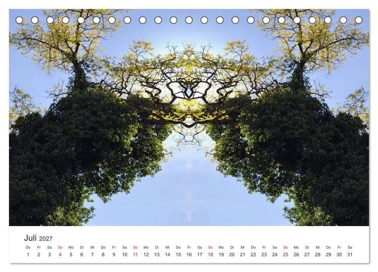 Produktbild: Spiegelwelten - Natur anders sehen (Tischkalender 2027 DIN A5 quer), CALVENDO Monatskalender