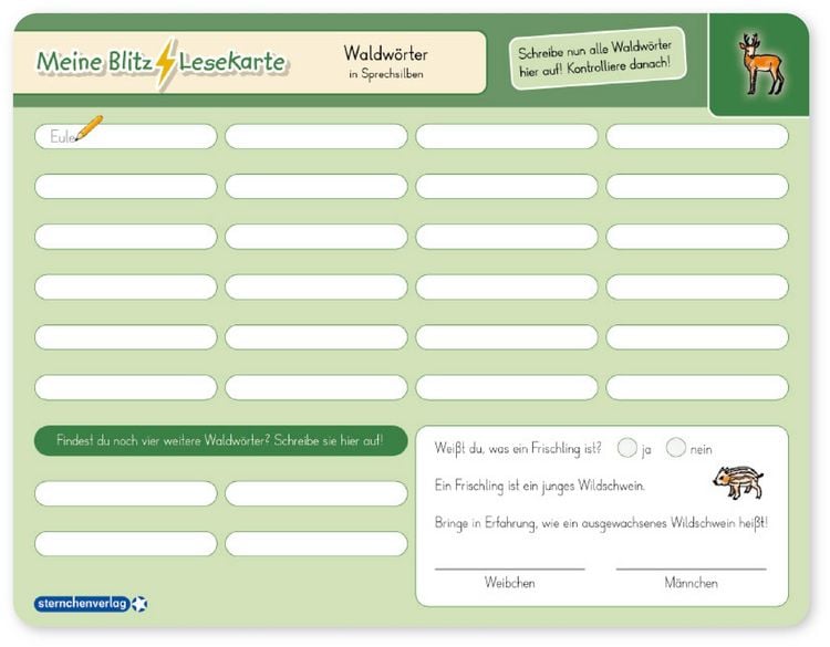 Produktbild: Meine Blitzlesekarten Set 3 zur Lesef&ouml;rderung (3 Lerntafeln mit Stift)