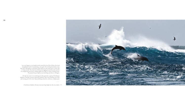 Produktbild: The Sea of Dreams