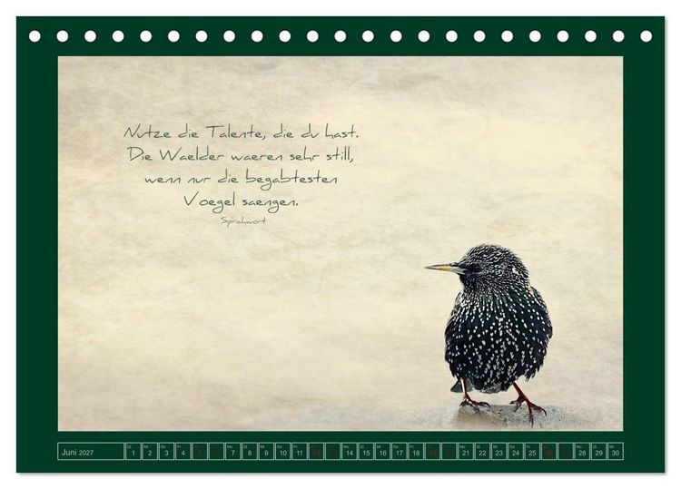 Produktbild: Stare und Weisheiten (Tischkalender 2027 DIN A5 quer), CALVENDO Monatskalender