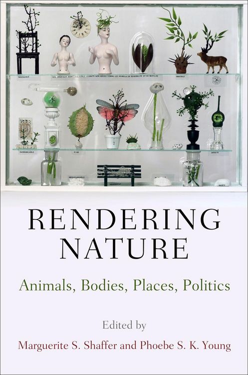 Produktbild: Rendering Nature