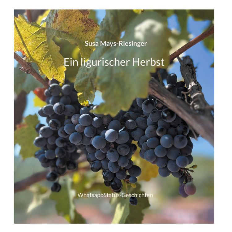 Produktbild: Ein ligurischer Herbst