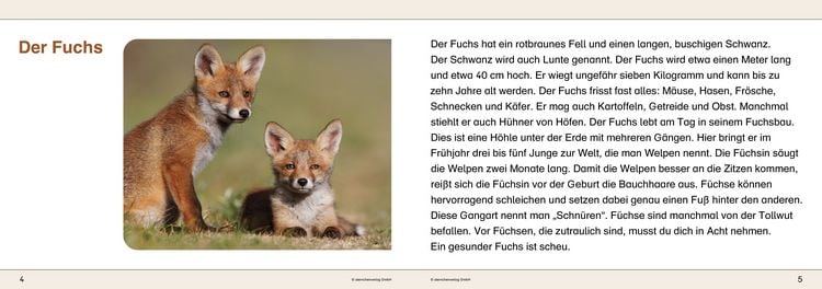 Produktbild: Ich kenne Waldtiere - Sch&uuml;lerarbeitsheft f&uuml;r die 2. bis 4. Klasse