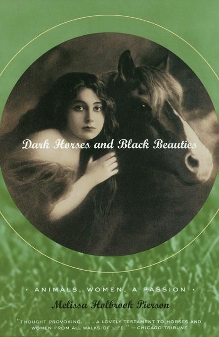 Produktbild: Dark Horses and Black Beauties