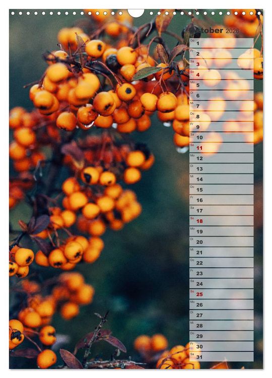 Produktbild: Kalender - Natur im Detail (Wandkalender 2026 DIN A3 hoch), CALVENDO Monatskalender