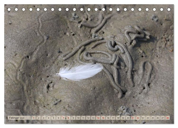 Produktbild: Cuxland, Urlaubsgl&uuml;ck zwischen Nordsee und Elbe (Tischkalender 2026 DIN A5 quer), CALVENDO Monatskalender