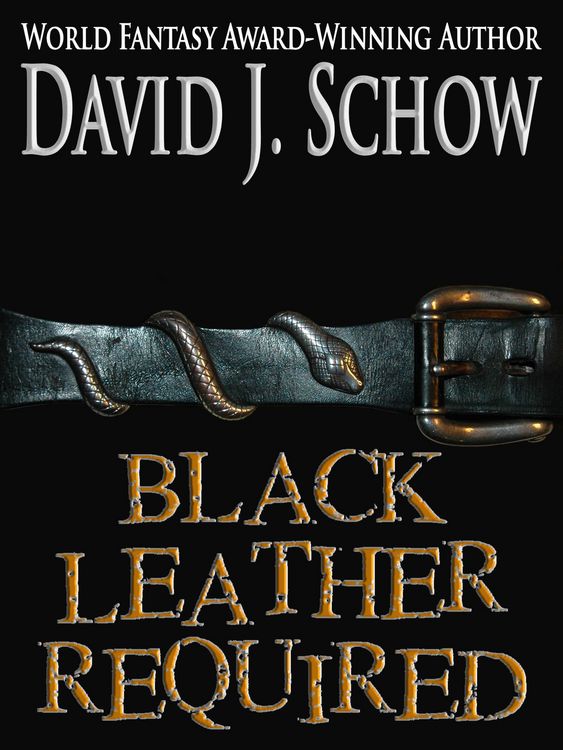 Produktbild: Black Leather Required