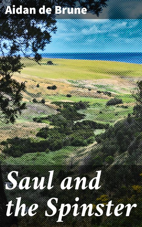 Produktbild: Saul and the Spinster