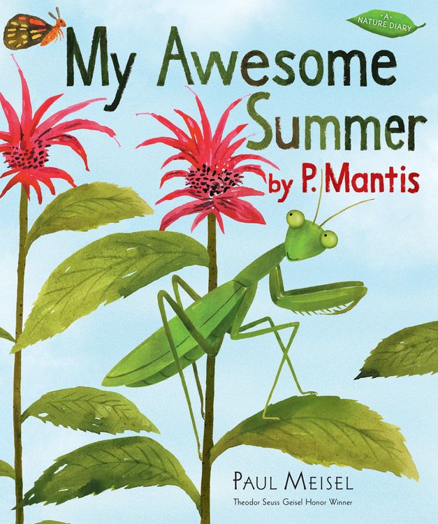 Produktbild: My Awesome Summer by P. Mantis