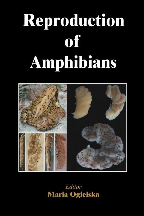 Produktbild: Reproduction of Amphibians