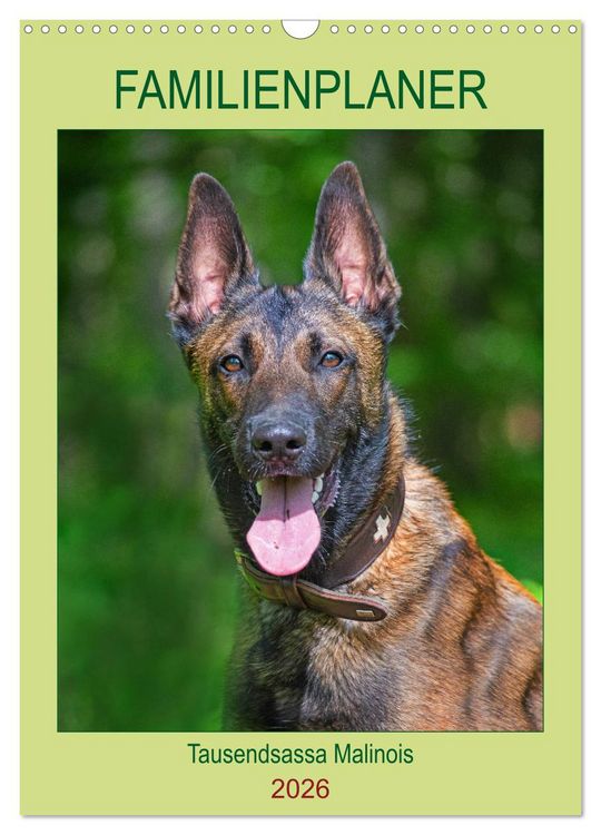 Produktbild: Familienplaner Tausendsassa Malinois (Wandkalender 2026 DIN A3 hoch), CALVENDO Monatskalender