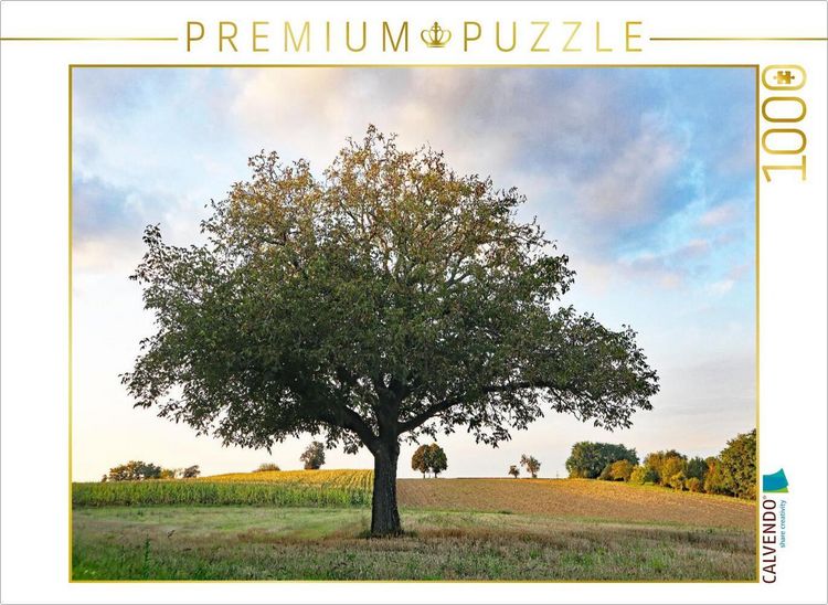 Produktbild: CALVENDO Puzzle September | 1000 Teile Lege-Gr&ouml;&szlig;e 64x48cm Foto-Puzzle f&uuml;r gl&uuml;ckliche Stunden