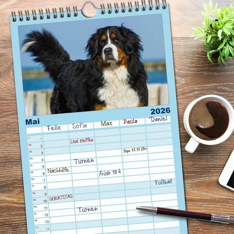 Produktbild: Familienplaner 2026 - Berner Sennenhund 2026 mit 5 Spalten (Wandkalender, 21 x 45 cm) CALVENDO
