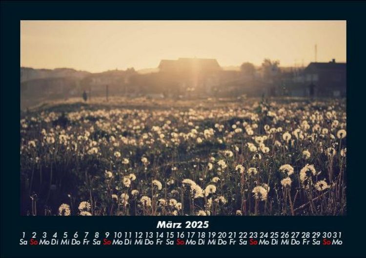 Produktbild: Bilder aus der Natur 2025 Fotokalender DIN A5