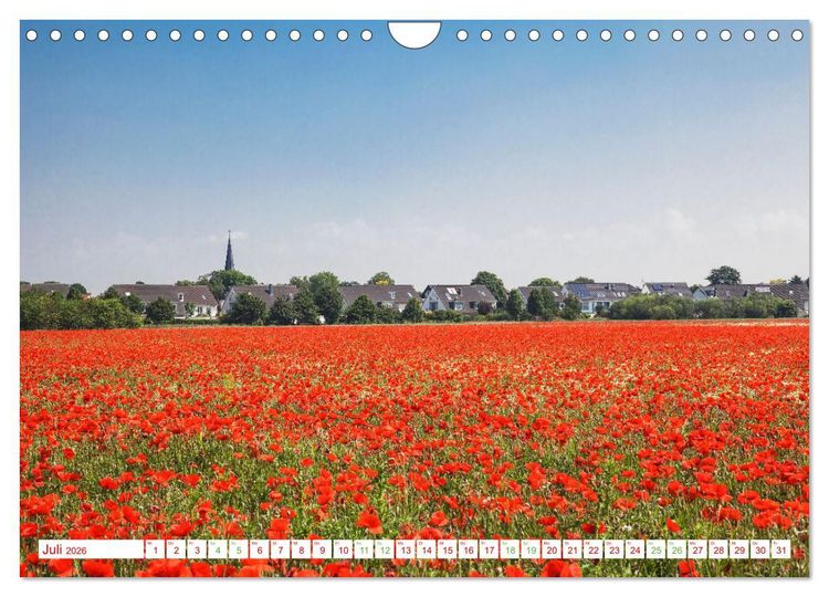 Produktbild: K&ouml;ln Widdersdorf - Bl&uuml;tentr&auml;ume und l&auml;ndliche Idylle (Wandkalender 2026 DIN A4 quer), CALVENDO Monatskalender