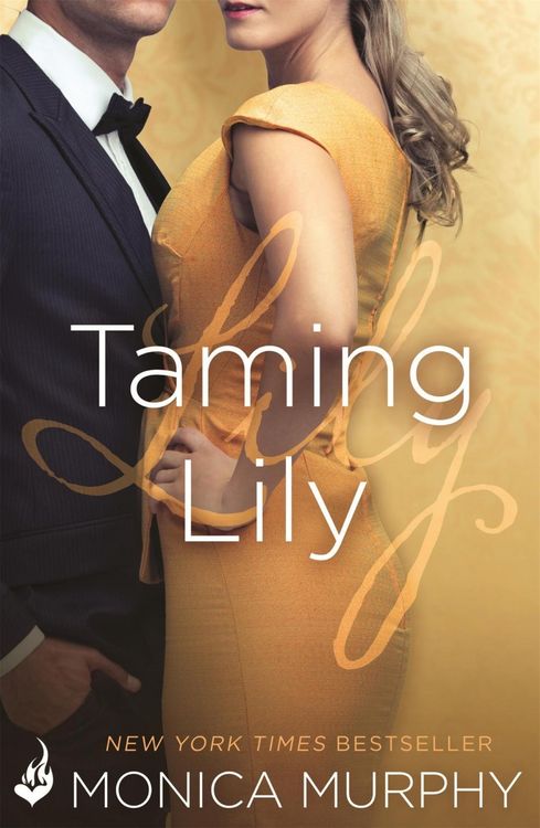 Produktbild: Taming Lily: The Fowler Sisters 3