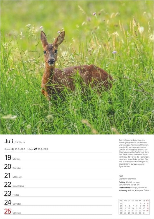 Produktbild: Heimische Tiere Wochenplaner 2027 - 53 faszinierende Fotografien