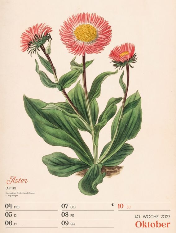 Produktbild: Ars Floralis Wochenplaner Kalender 2027