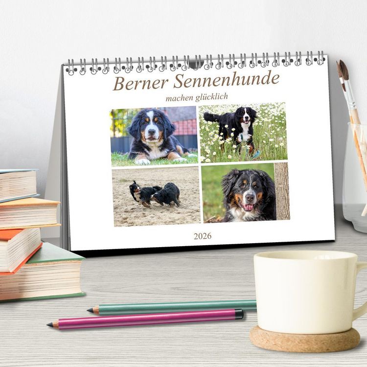 Produktbild: Berner Sennenhunde machen gl&uuml;cklich (Tischkalender 2026 DIN A5 quer), CALVENDO Monatskalender