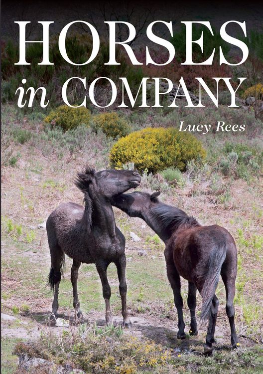 Produktbild: Horses in Company