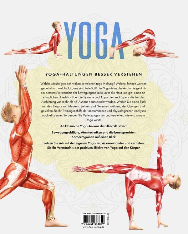 Produktbild: YOGA - Atlas der Anatomie