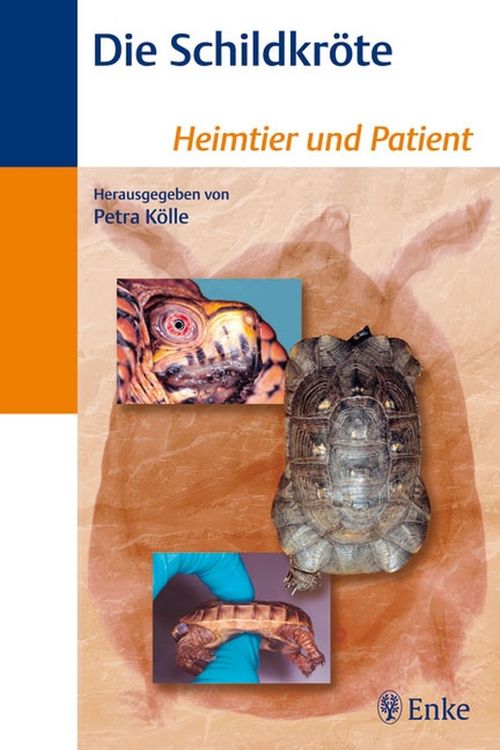 Produktbild: Die Schildkr&ouml;te