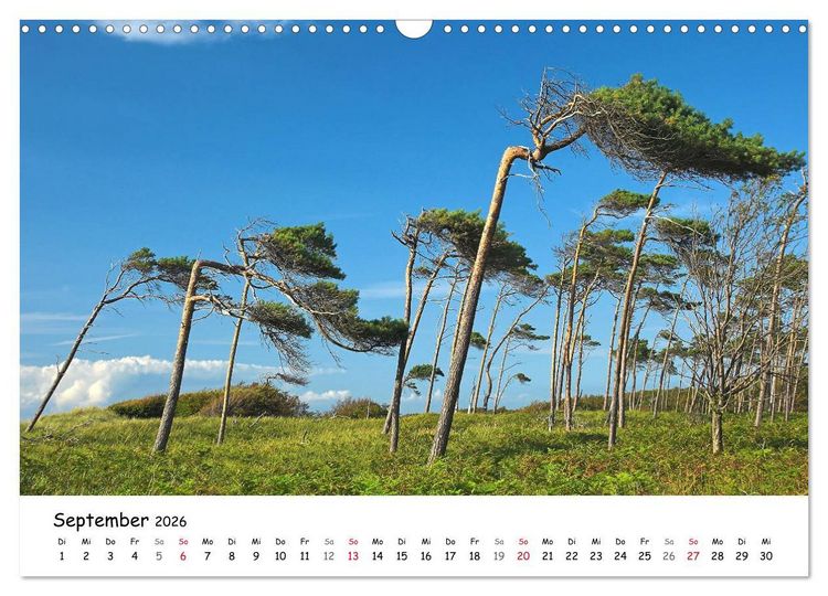Produktbild: Deutschland- Nordsee und Ostsee (Wandkalender 2026 DIN A3 quer), CALVENDO Monatskalender