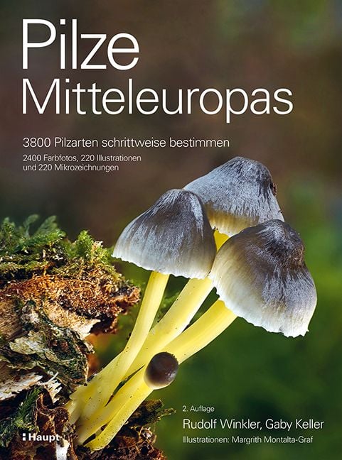 Produktbild: Pilze Mitteleuropas