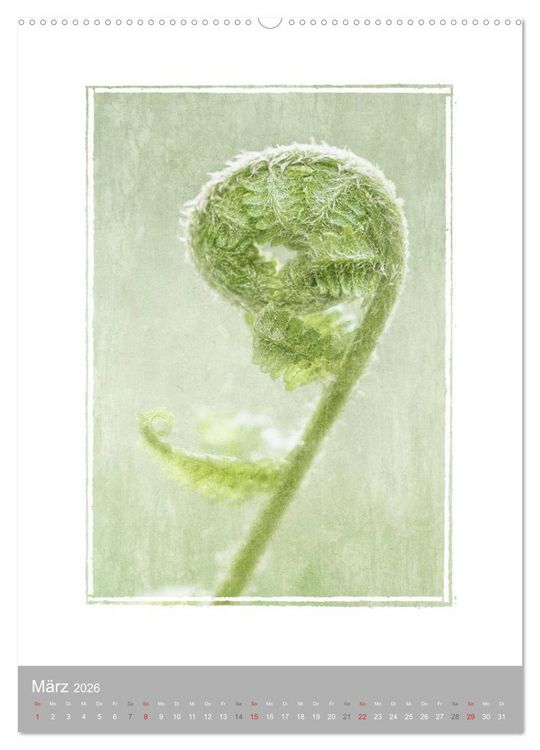 Produktbild: Kunstwerk Natur (Wandkalender 2026 DIN A2 hoch), CALVENDO Monatskalender