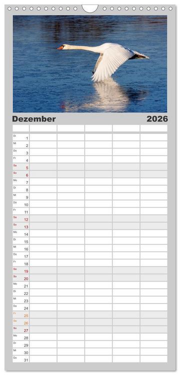 Produktbild: Familienplaner 2026 - Der H&ouml;ckerschwan elegant und stolz mit 5 Spalten (Wandkalender, 21 x 45 cm) CALVENDO