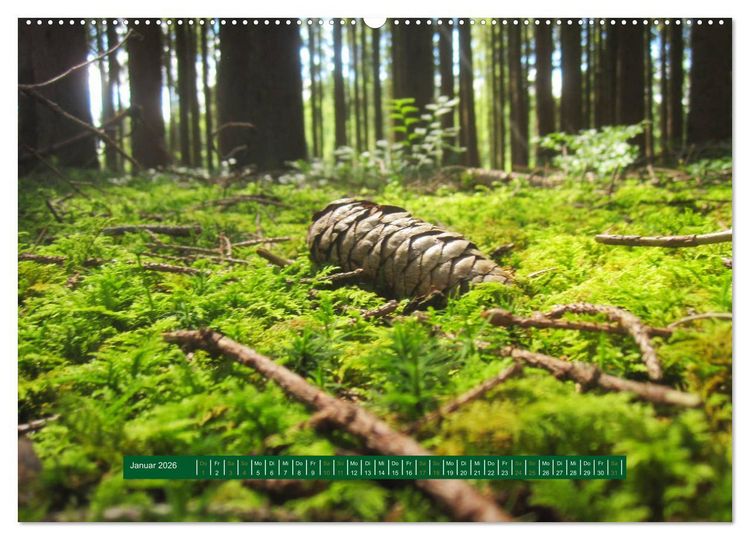 Produktbild: Unterwegs im Deister (hochwertiger Premium Wandkalender 2026 DIN A2 quer), Kunstdruck in Hochglanz