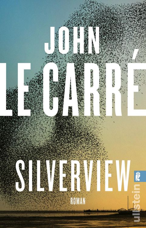 Produktbild: Silverview