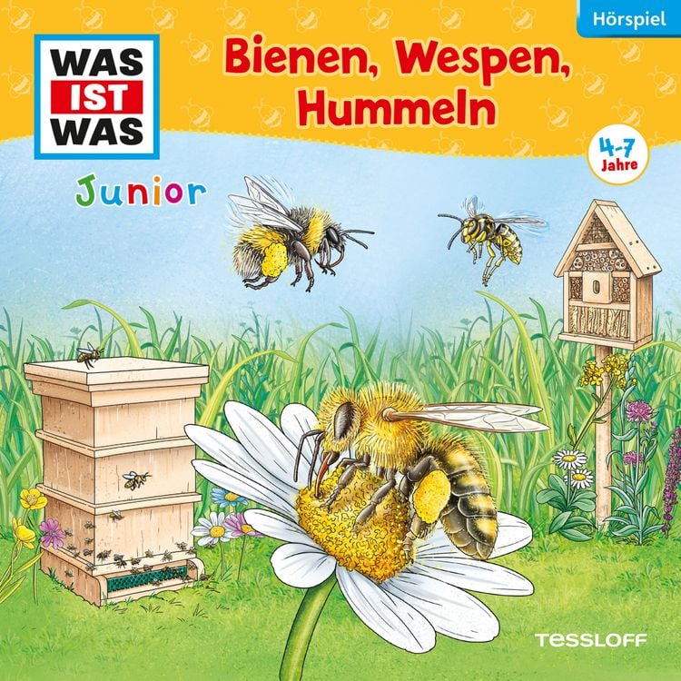 Produktbild: 30: Bienen, Wespen, Hummeln