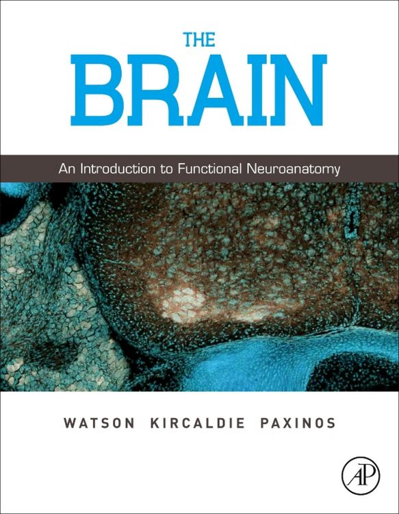 Produktbild: The Brain
