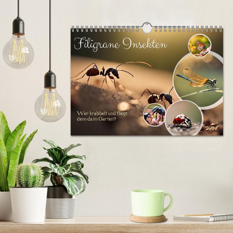Produktbild: Filigrane Insekten (Wandkalender 2026 DIN A4 quer), CALVENDO Monatskalender